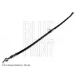 BLUE PRINT ADT353355 - Flexible de frein avant droit