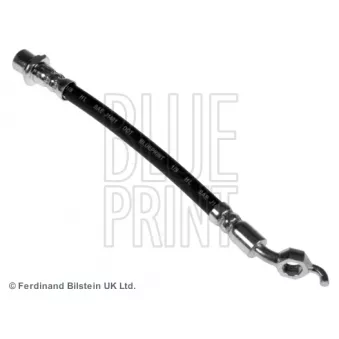 Flexible de frein BLUE PRINT ADT353369 pour CITROEN C2 1.6 VVTI - 124cv