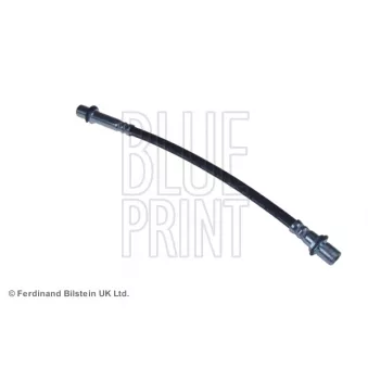 BLUE PRINT ADT35339 - Flexible de frein