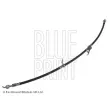 Flexible de frein avant droit BLUE PRINT [ADT353401]