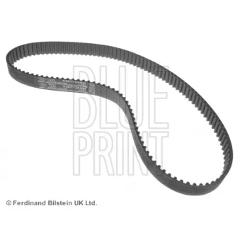 Courroie crantée BLUE PRINT OEM 1356811053