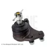 BLUE PRINT ADT38622 - Rotule de suspension