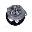 BLUE PRINT ADT391112 - Pompe à eau
