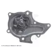 BLUE PRINT ADT39123 - Pompe à eau