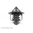 BLUE PRINT ADT39210 - Thermostat d'eau