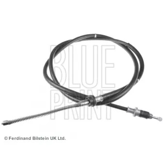 BLUE PRINT ADZ94648 - Tirette à câble, frein de stationnement arrière droit