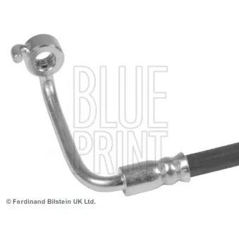 BLUE PRINT ADZ95341 - Flexible de frein avant droit