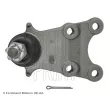BLUE PRINT ADZ98612 - Rotule de suspension