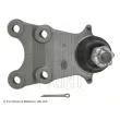 BLUE PRINT ADZ98612 - Rotule de suspension