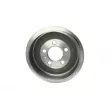 AUTOMEGA 120018510 - Tambour de frein
