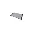 AUTOMEGA 130049410 - Radiateur, refroidissement du moteur