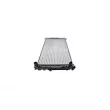 AUTOMEGA 130049410 - Radiateur, refroidissement du moteur