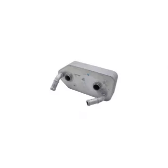 Radiateur d'huile AUTOMEGA OEM 096409061D