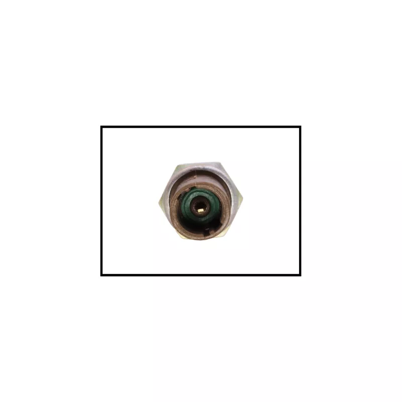 Indicateur de pression d'huile AUTOMEGA 150065410 - Visuel 2