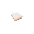 AUTOMEGA 180016710 - Filtre à air