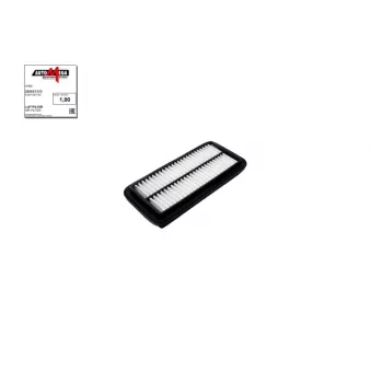 AUTOMEGA 250051310 - Filtre à air
