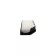 AUTOMEGA 250052110 - Filtre à air