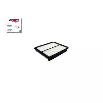 Filtre à air AUTOMEGA OEM 281133S100