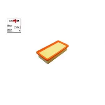 AUTOMEGA 250053110 - Filtre à air