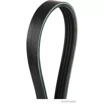 Courroie trapézoïdale à nervures HERTH+BUSS JAKOPARTS OEM 117204016R
