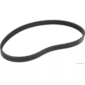 Courroie trapézoïdale à nervures HERTH+BUSS JAKOPARTS OEM LF5115908B