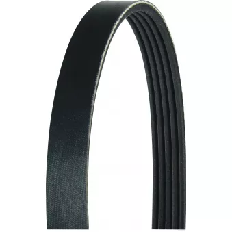 Courroie trapézoïdale à nervures HERTH+BUSS JAKOPARTS OEM MD325600