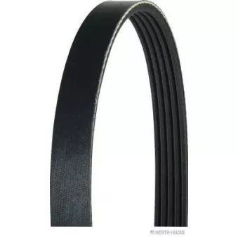 Courroie trapézoïdale à nervures HERTH+BUSS JAKOPARTS OEM MD331884