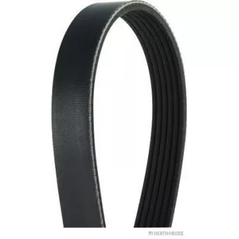 Courroie trapézoïdale à nervures HERTH+BUSS JAKOPARTS OEM 9936620780