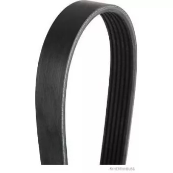 Courroie trapézoïdale à nervures HERTH+BUSS JAKOPARTS OEM 252122B140