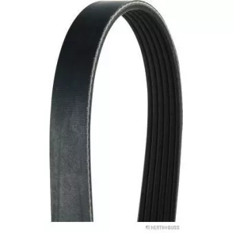 Courroie trapézoïdale à nervures HERTH+BUSS JAKOPARTS OEM 55582735