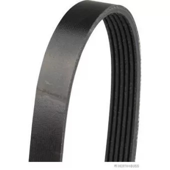 Courroie trapézoïdale à nervures HERTH+BUSS JAKOPARTS OEM ZYK315909