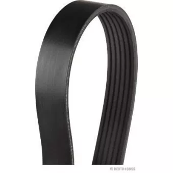 Courroie trapézoïdale à nervures HERTH+BUSS JAKOPARTS OEM 0119970492