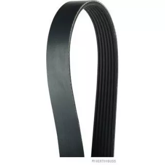 Courroie trapézoïdale à nervures HERTH+BUSS JAKOPARTS J1070810 pour FORD PUMA 450h AWD - 299cv