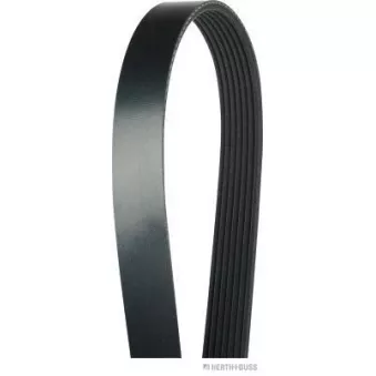 Courroie trapézoïdale à nervures HERTH+BUSS JAKOPARTS OEM 90916T2014