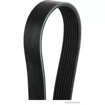 Courroie trapézoïdale à nervures HERTH+BUSS JAKOPARTS OEM RF8G15909