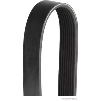 Courroie trapézoïdale à nervures HERTH+BUSS JAKOPARTS J1082410 pour TOYOTA LAND CRUISER 4.6 V8 - 318cv