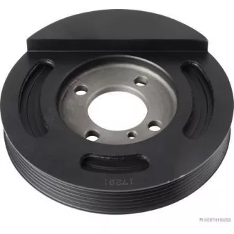 Poulie, vilebrequin HERTH+BUSS JAKOPARTS OEM 2312427500