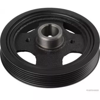 HERTH+BUSS JAKOPARTS J1096001 - Poulie, vilebrequin