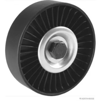 Poulie renvoi/transmission, courroie trapézoïdale à nervures HERTH+BUSS JAKOPARTS OEM 252862B010