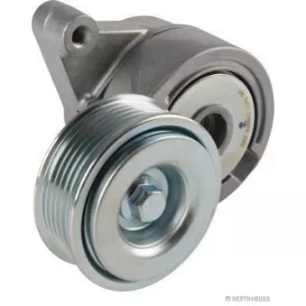 Tendeur de courroie, courroie trapézoïdale à nervures HERTH+BUSS JAKOPARTS J1143086 pour MAZDA 3 1.6 MZR - 105cv