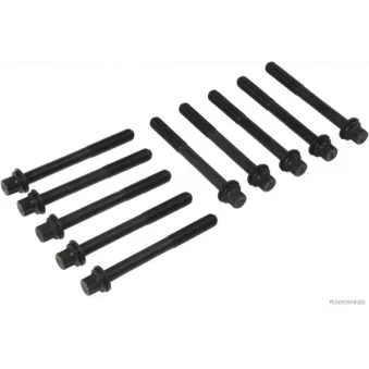 Jeu de boulons de culasse de cylindre HERTH+BUSS JAKOPARTS J1280314 pour KIA RIO 1.3 - 75cv