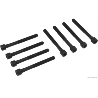 Jeu de boulons de culasse de cylindre HERTH+BUSS JAKOPARTS J1280504