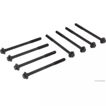 Jeu de boulons de culasse de cylindre HERTH+BUSS JAKOPARTS J1280917