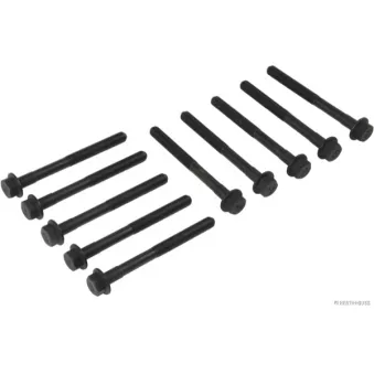 Jeu de boulons de culasse de cylindre HERTH+BUSS JAKOPARTS J1282022