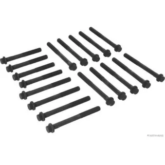 Jeu de boulons de culasse de cylindre HERTH+BUSS JAKOPARTS J1282029