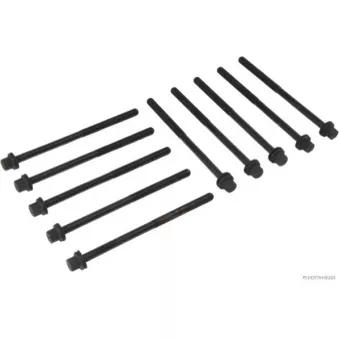 Jeu de boulons de culasse de cylindre HERTH+BUSS JAKOPARTS [J1284014]