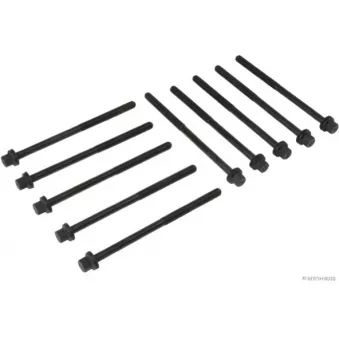Jeu de boulons de culasse de cylindre HERTH+BUSS JAKOPARTS J1284015