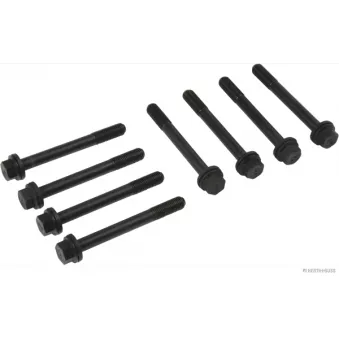 Jeu de boulons de culasse de cylindre HERTH+BUSS JAKOPARTS J1286003
