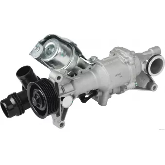 Pompe à eau, refroidissement du moteur HERTH+BUSS JAKOPARTS OEM 2742001407