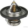 Thermostat d'eau HERTH+BUSS JAKOPARTS [J1530315]